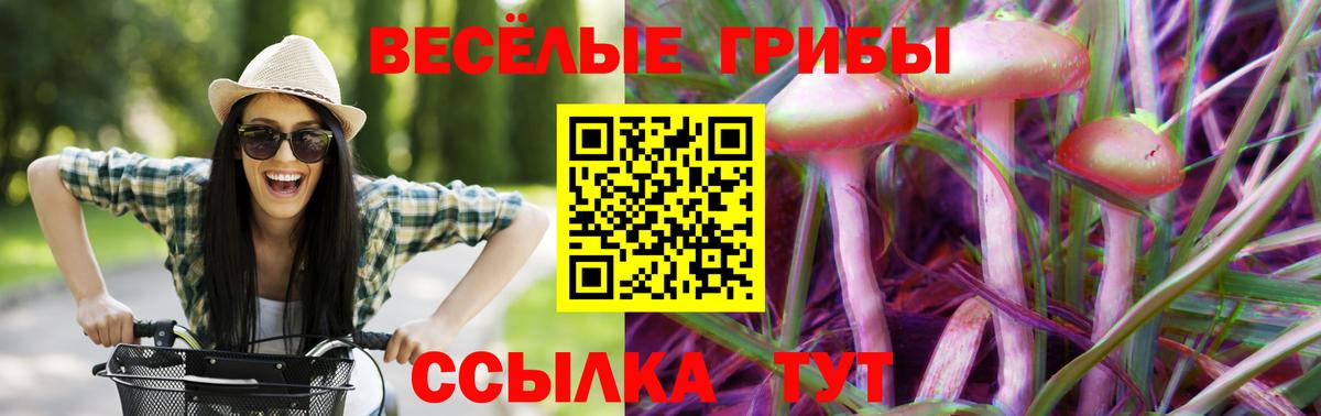 Псилоцибиновые грибы Cubensis  Галлюциногенные грибы Cubensis  Алейск  Вход с VPN 
